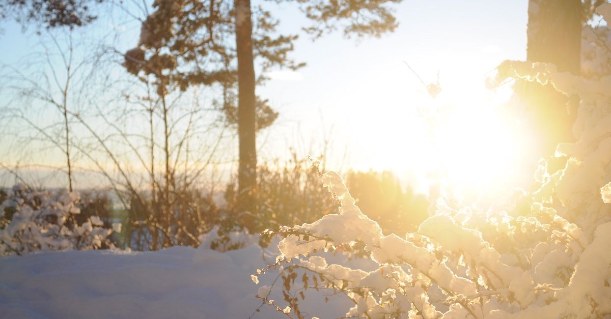 Snø